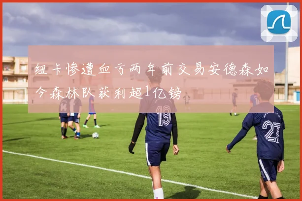 纽卡惨遭血亏两年前交易安德森如今森林队获利超1亿镑