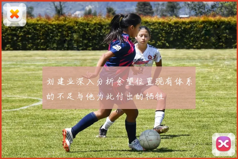 刘建业深入分析余望位置现有体系的不足与他为此付出的牺牲